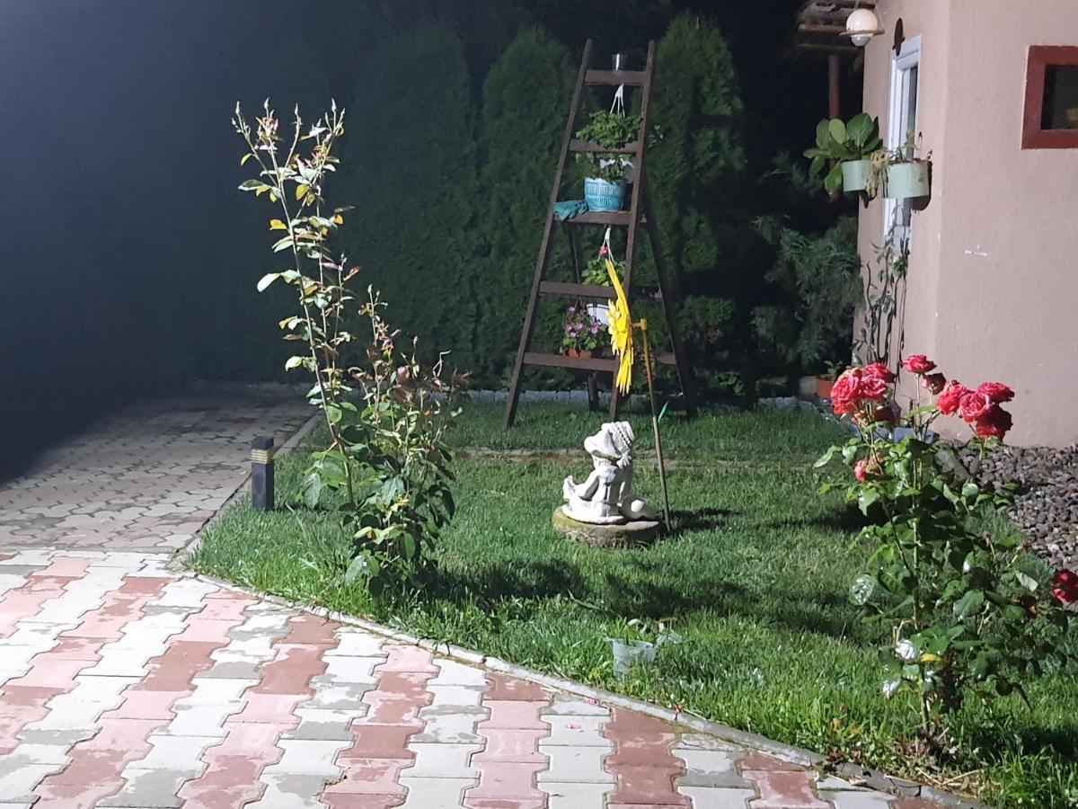 Apartmán Casa Ella Sighişoara Exteriér fotografie